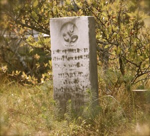 IMG_7781 - Version 2