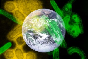 Image showing overlays of the marburg virus and spanish flu on the Earth.