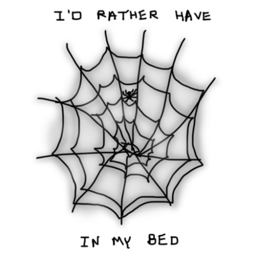 Spiders In My Bed